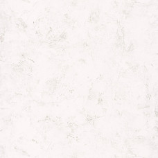 Patine  : 100220102